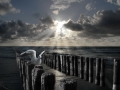 Himmel Wolken Wasser und Wellenbrecher