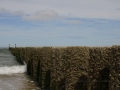Domburg
