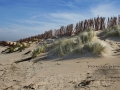 IMG_0932x