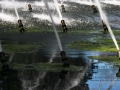 Langenfeld_Langfort_Park_0033