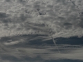 Flugshow_Langenfeld_0002