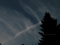 Wolken wie Rippen  032
